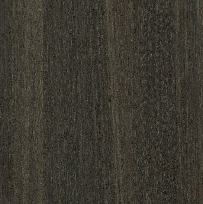 CB008 Black Elm