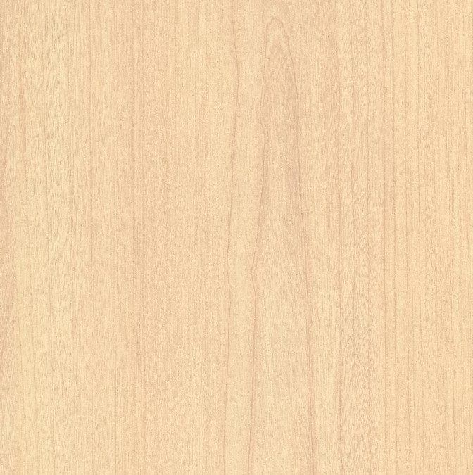 CBL583 Radiant Maple
