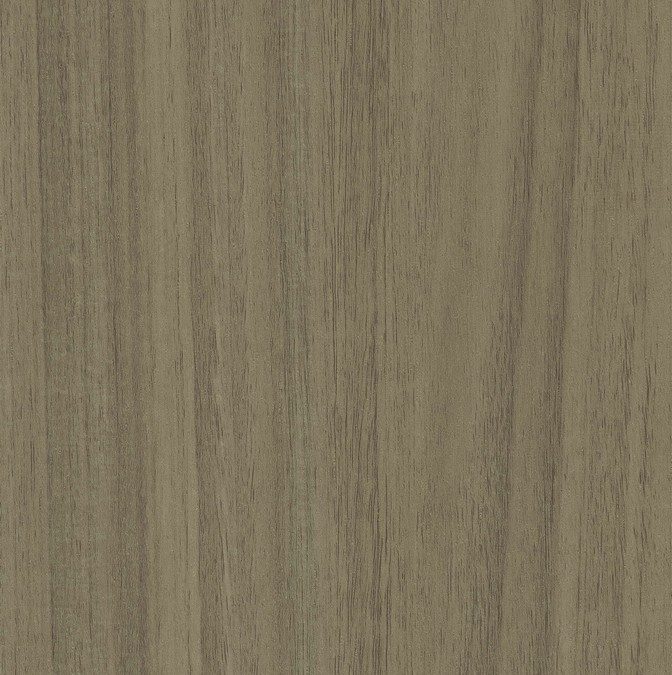 CLW6467 Hickory Ash