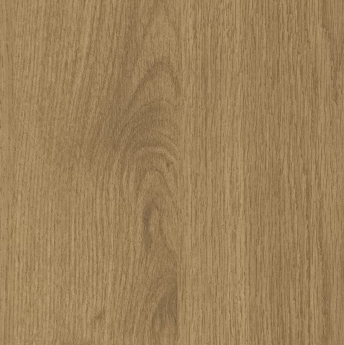 CWZ6123 Eclae Oak