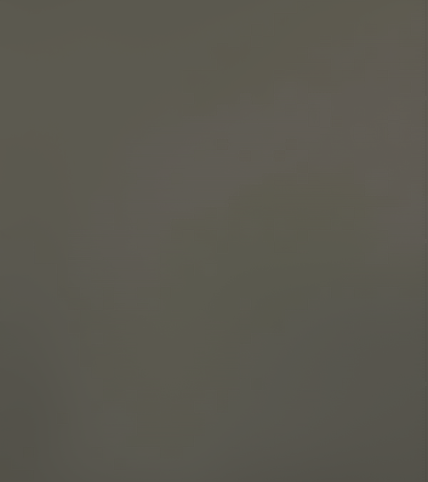 CM7010 Davy Grey