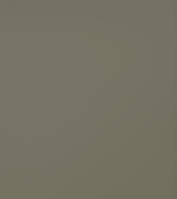 CM7016 Iron Ore