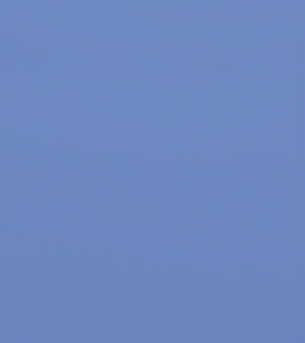 CM7063 Cornflower