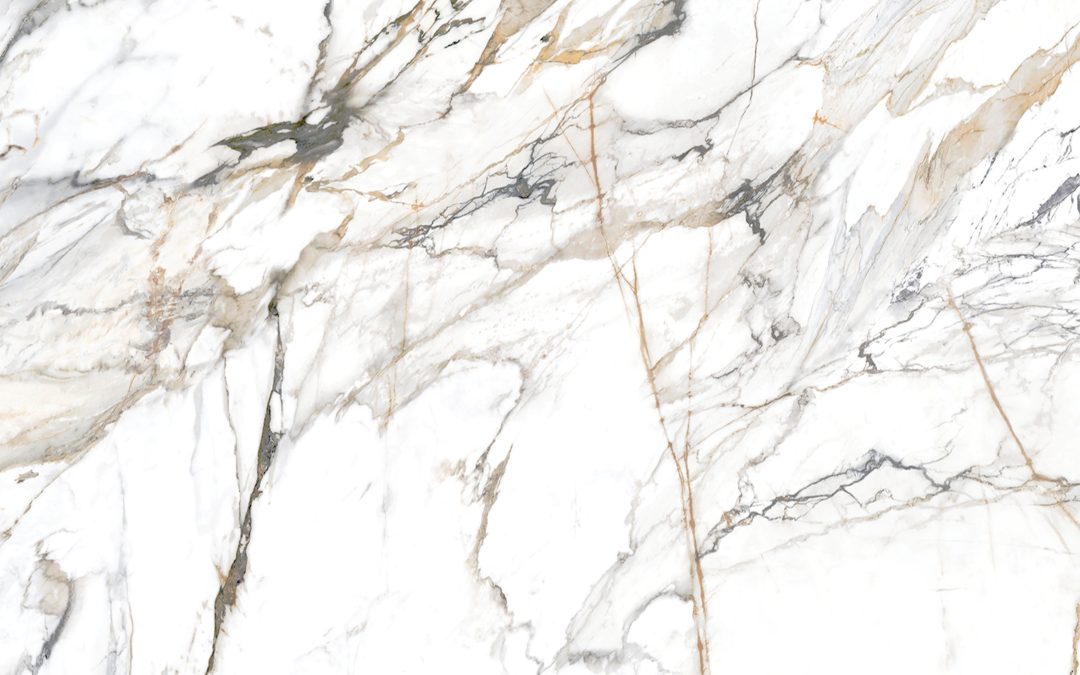 CBM9002V2 Radiant Splendor-Verso